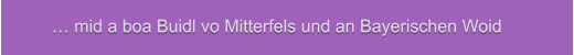 … mid a boa Buidl vo Mitterfels und an Bayerischen Woid